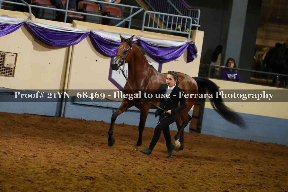 Proof 21YN_68469