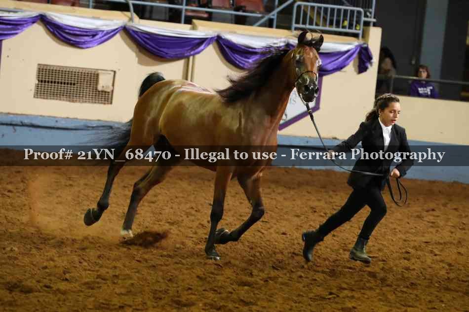Proof 21YN_68470