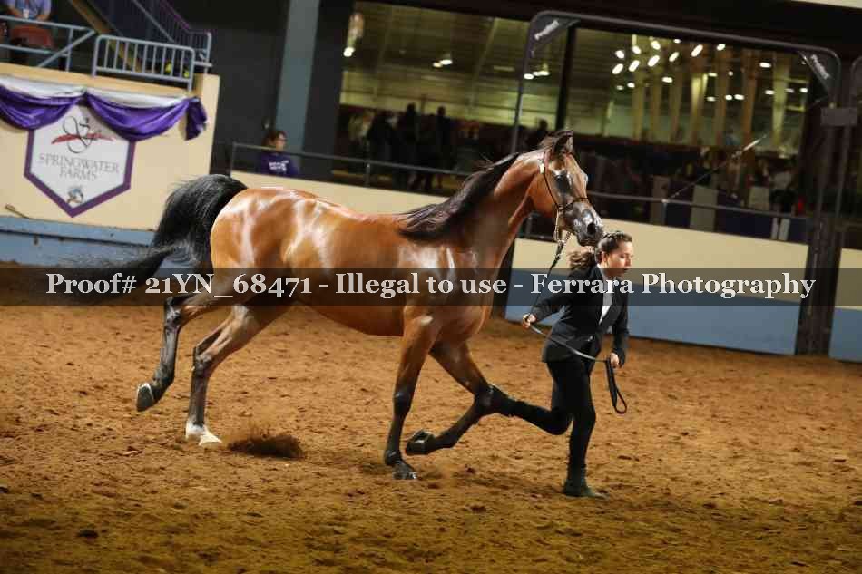 Proof 21YN_68471