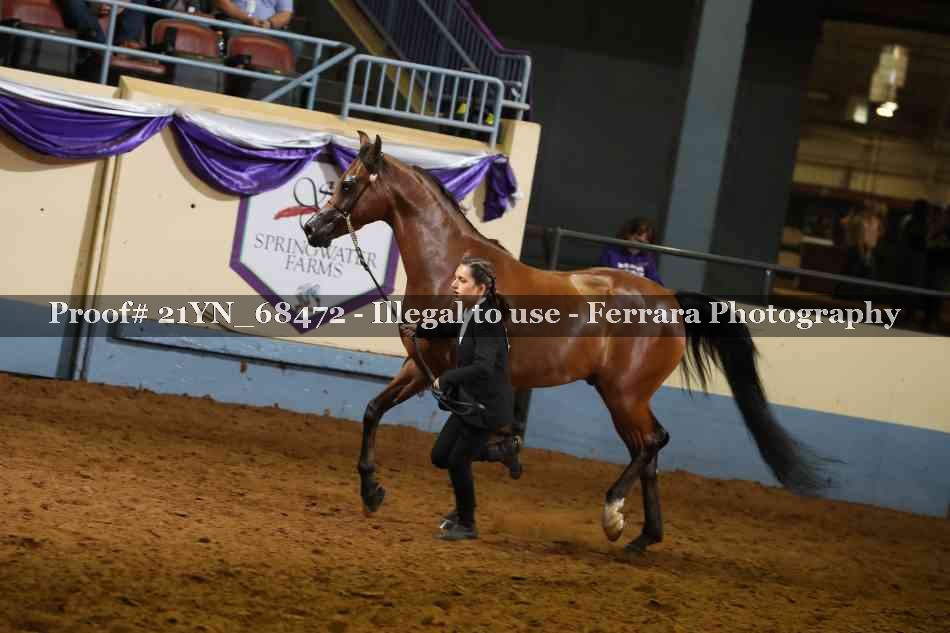 Proof 21YN_68472