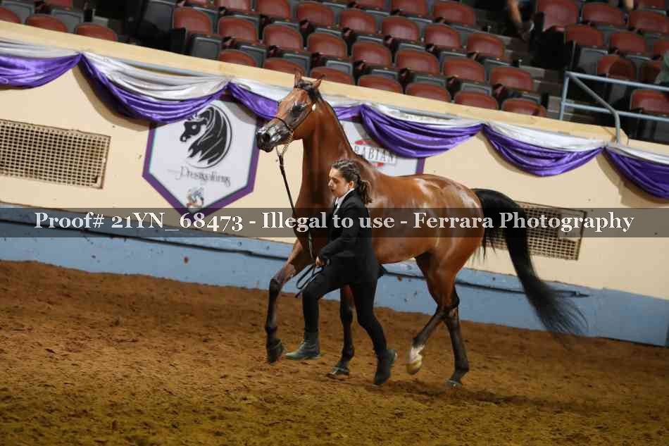 Proof 21YN_68473