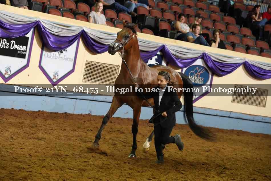 Proof 21YN_68475