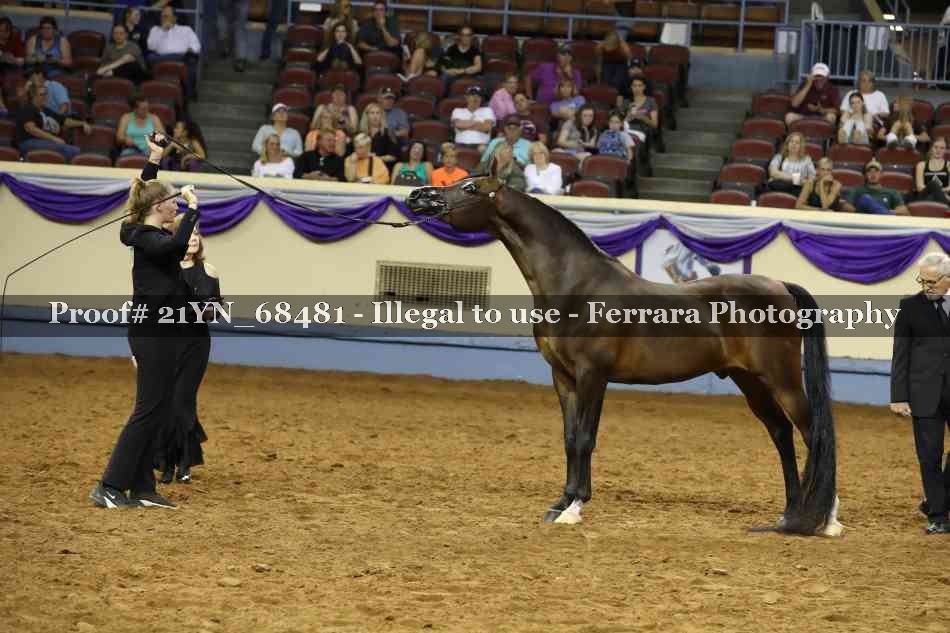 Proof 21YN_68481