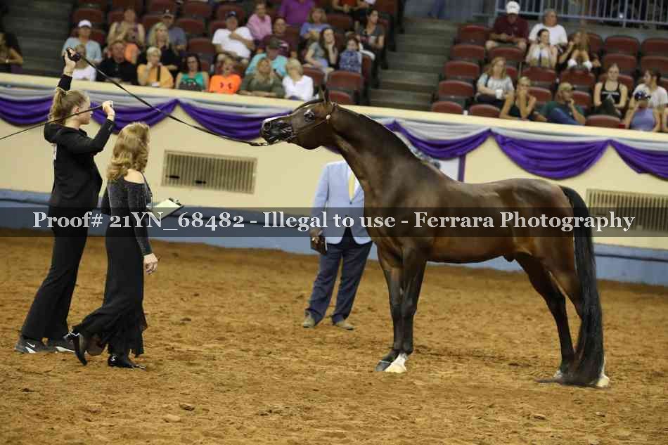 Proof 21YN_68482