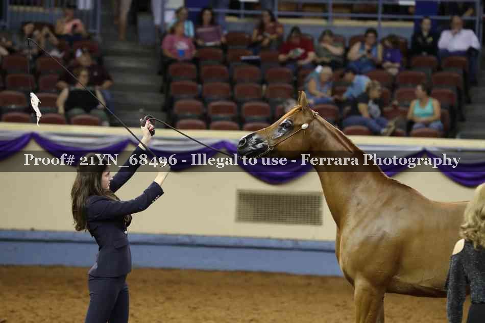 Proof 21YN_68496