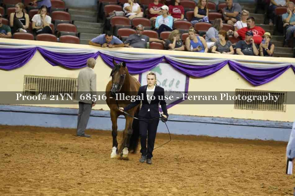 Proof 21YN_68516