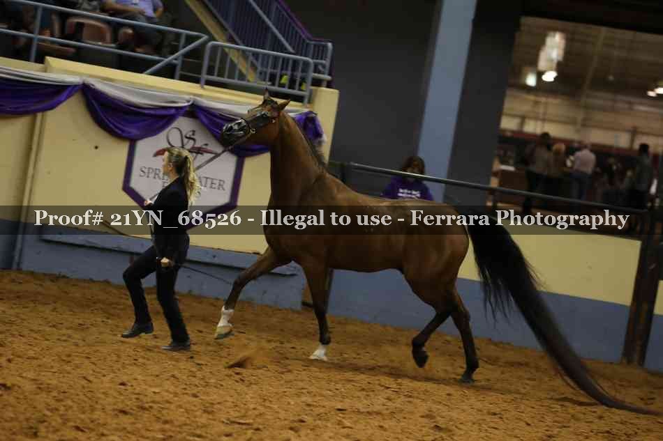 Proof 21YN_68526
