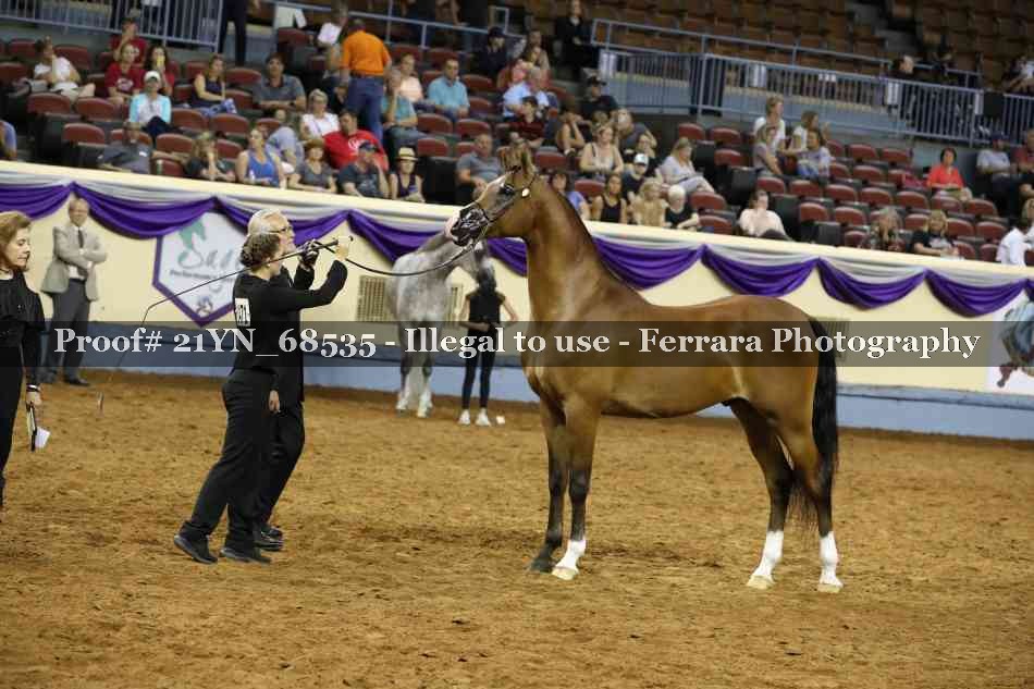Proof 21YN_68535
