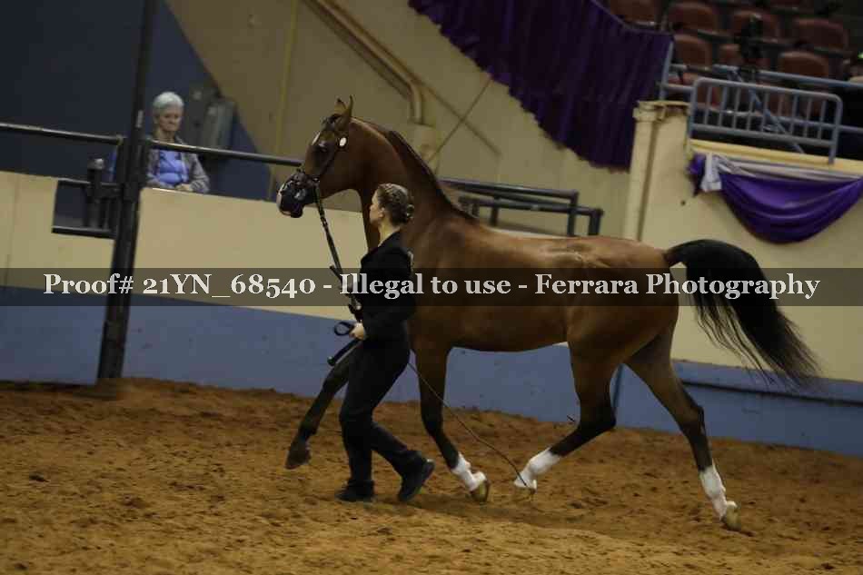Proof 21YN_68540