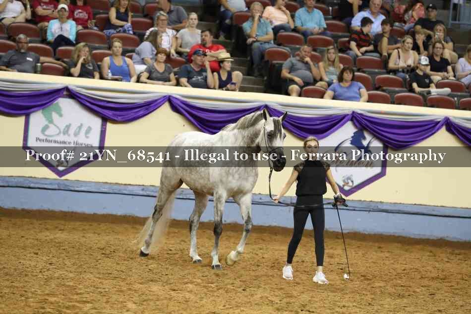 Proof 21YN_68541