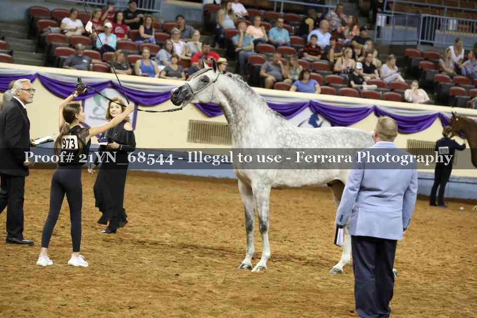 Proof 21YN_68544