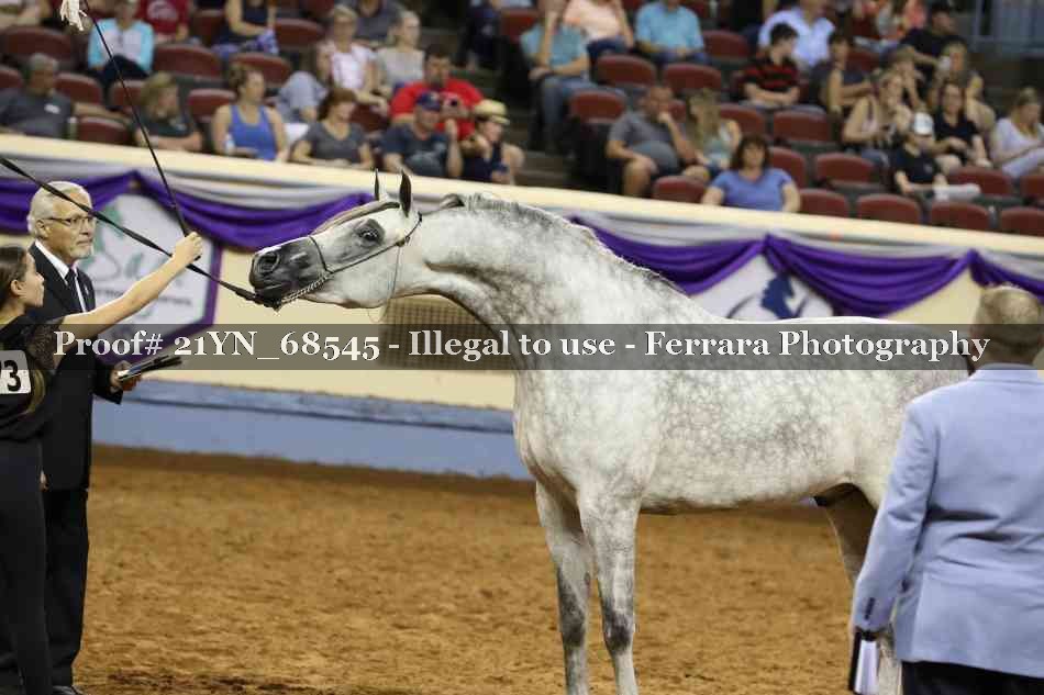 Proof 21YN_68545