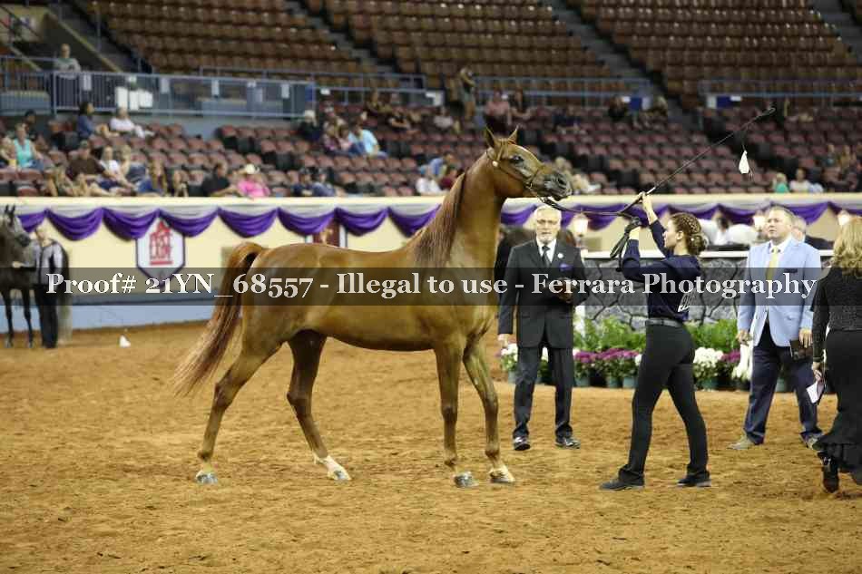 Proof 21YN_68557