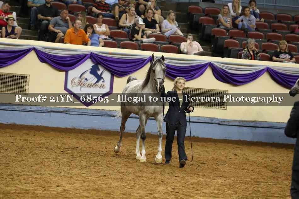 Proof 21YN_68565
