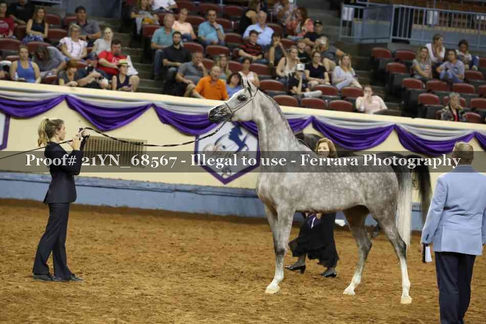 Proof 21YN_68567