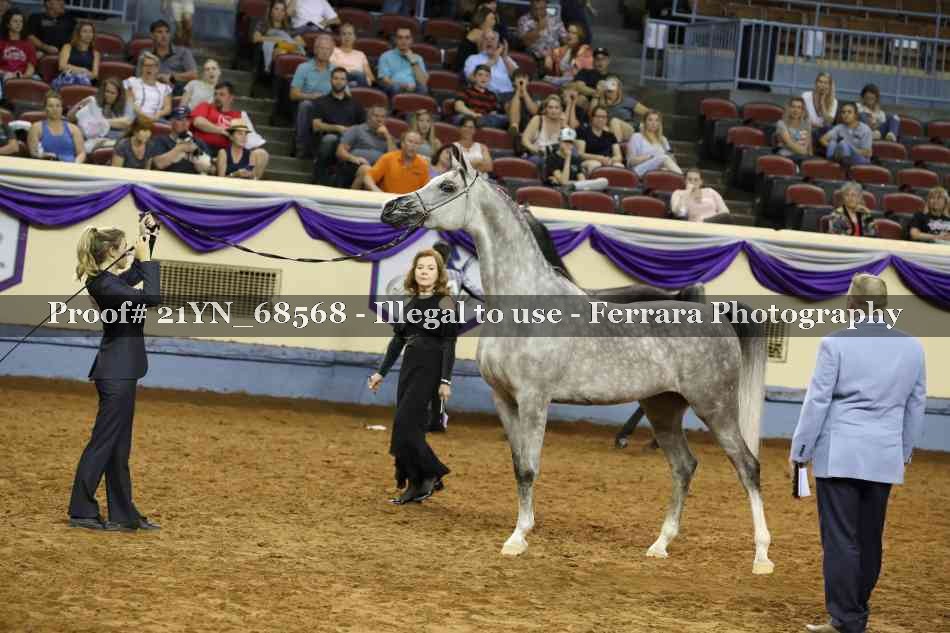 Proof 21YN_68568
