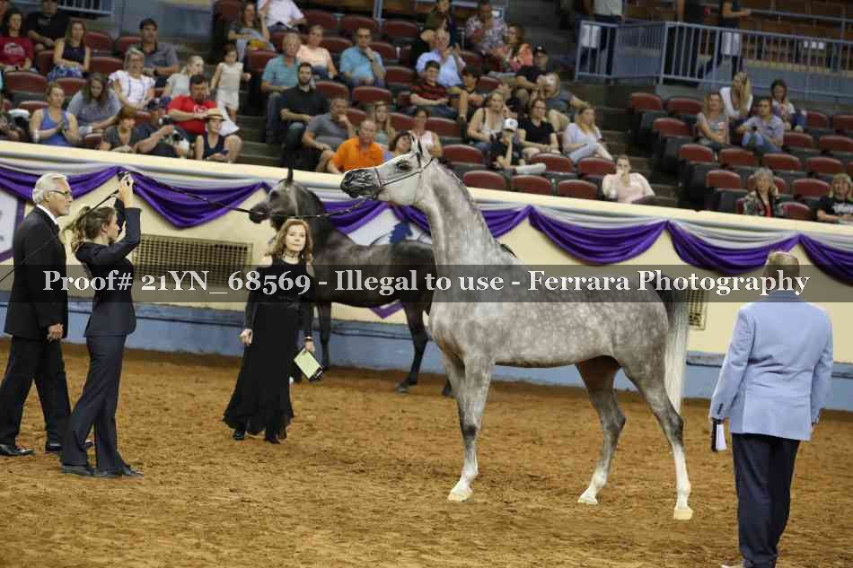 Proof 21YN_68569