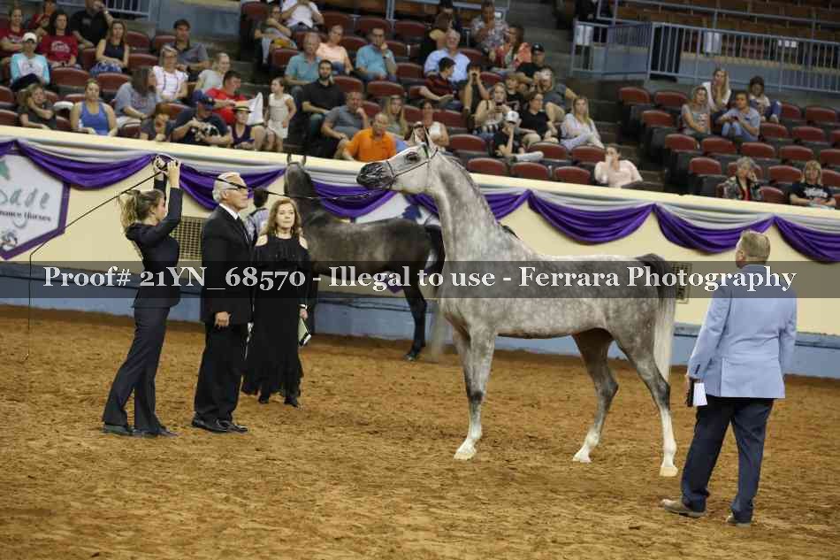 Proof 21YN_68570