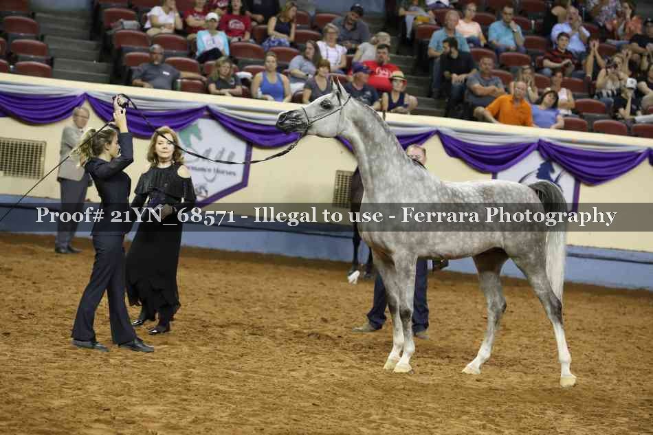 Proof 21YN_68571