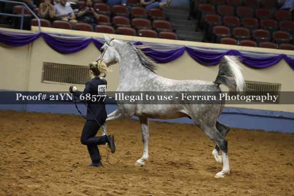 Proof 21YN_68577