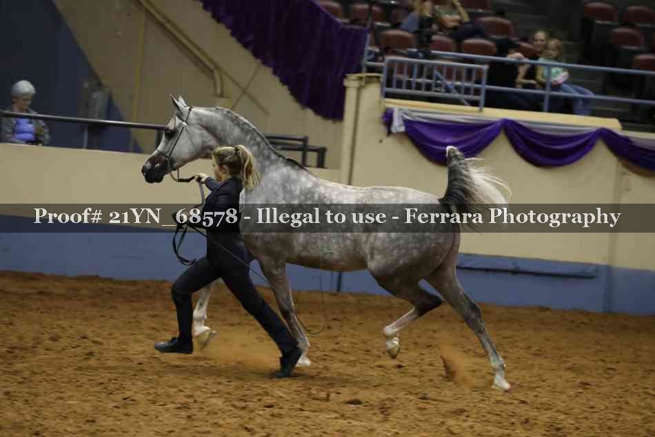 Proof 21YN_68578