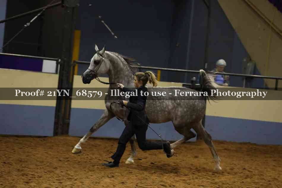 Proof 21YN_68579