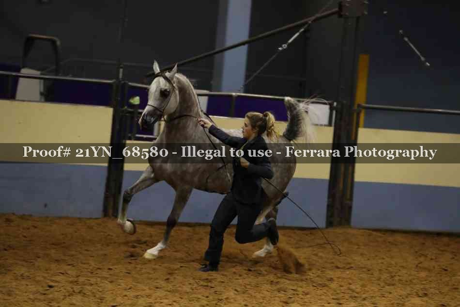 Proof 21YN_68580