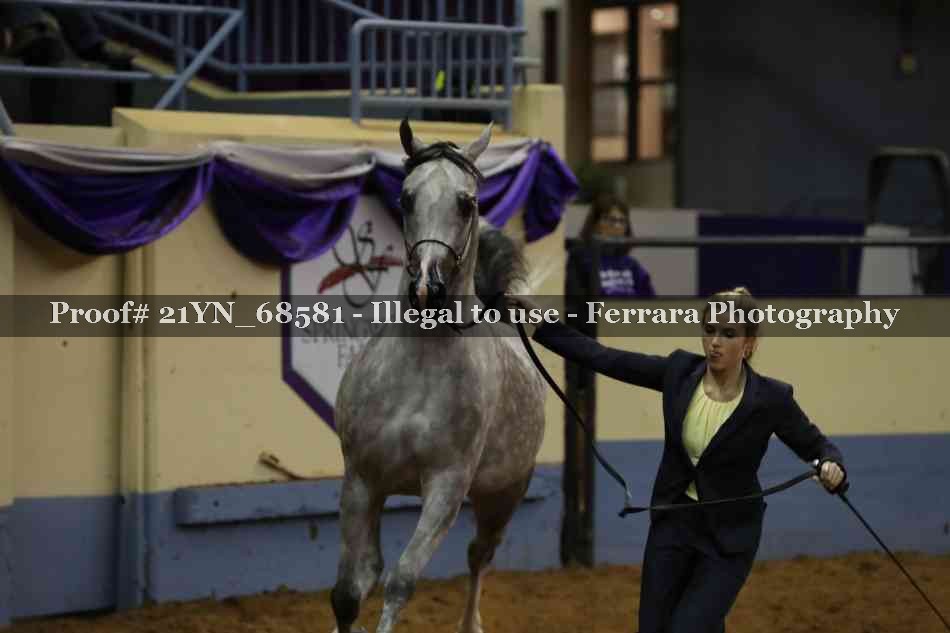 Proof 21YN_68581