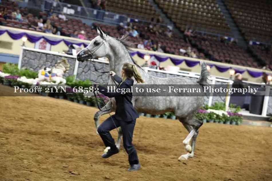 Proof 21YN_68582