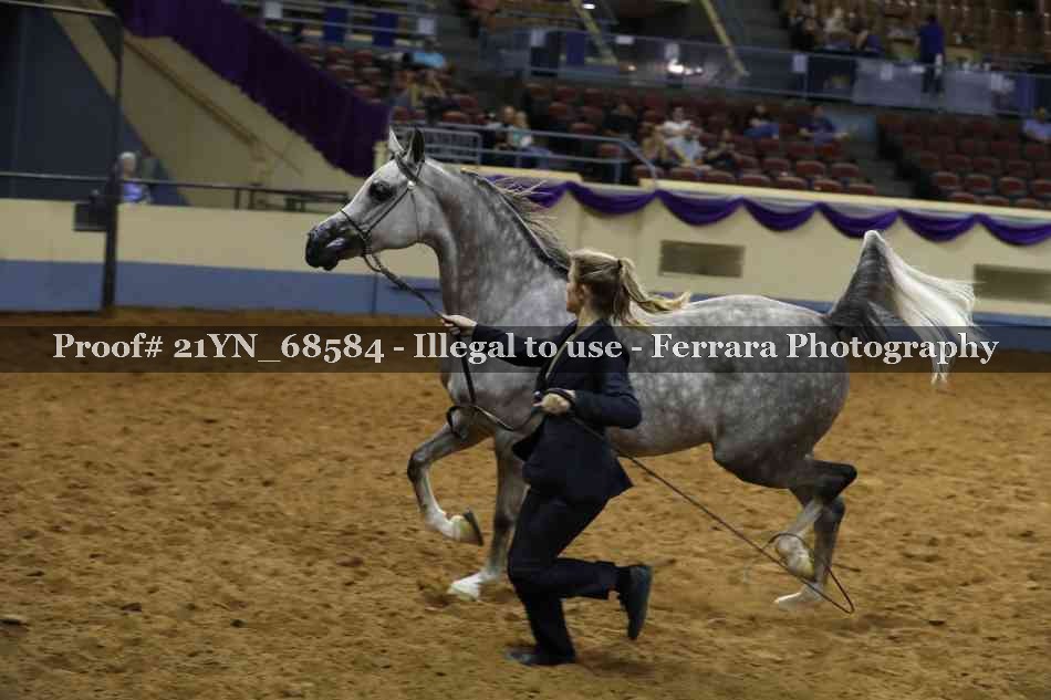 Proof 21YN_68584
