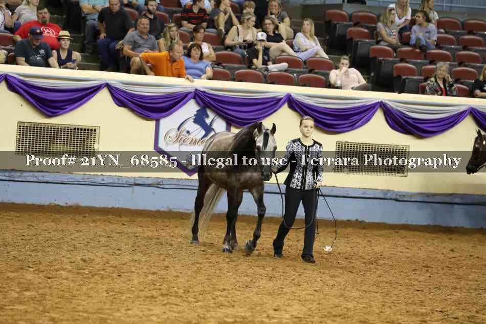 Proof 21YN_68585