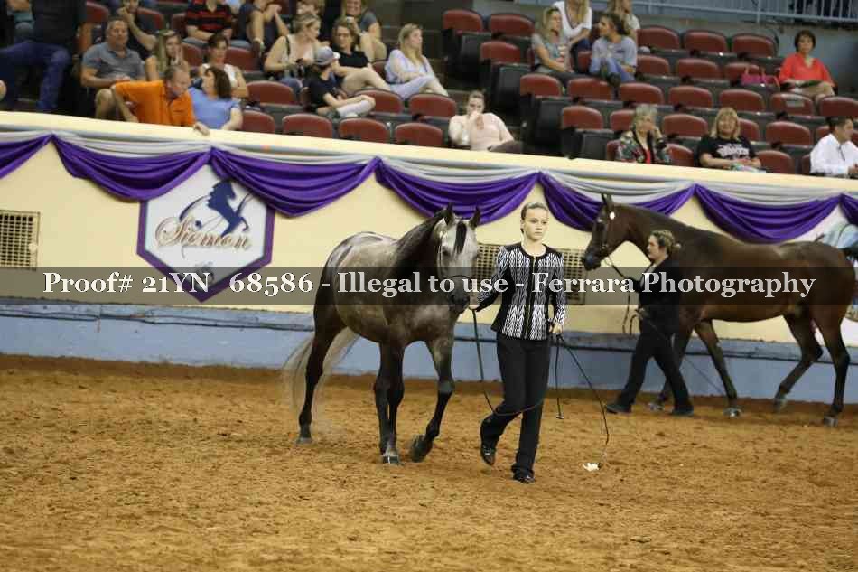 Proof 21YN_68586