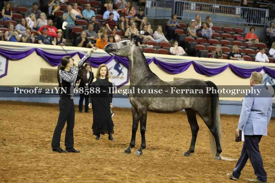 Proof 21YN_68588
