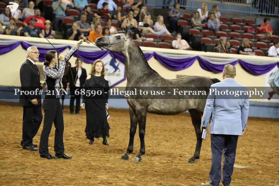 Proof 21YN_68590