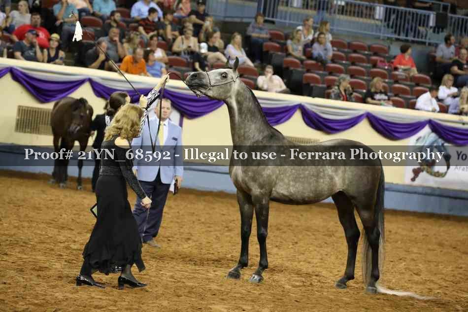 Proof 21YN_68592