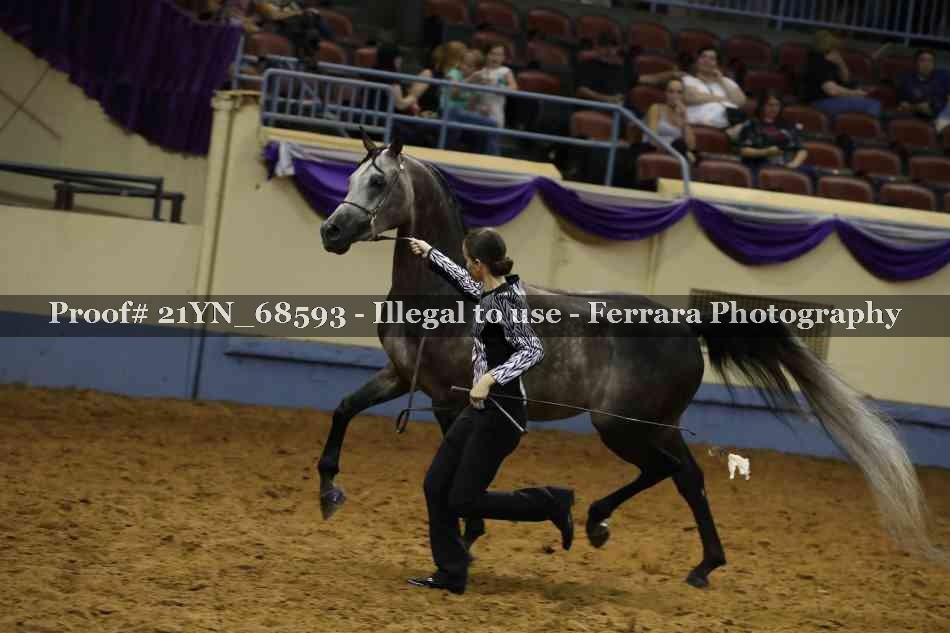 Proof 21YN_68593