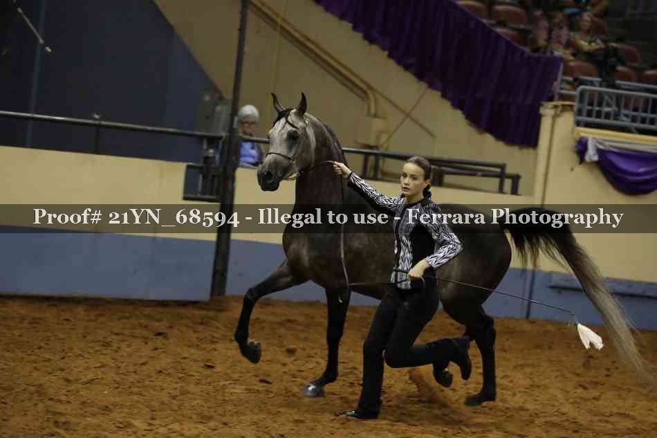 Proof 21YN_68594