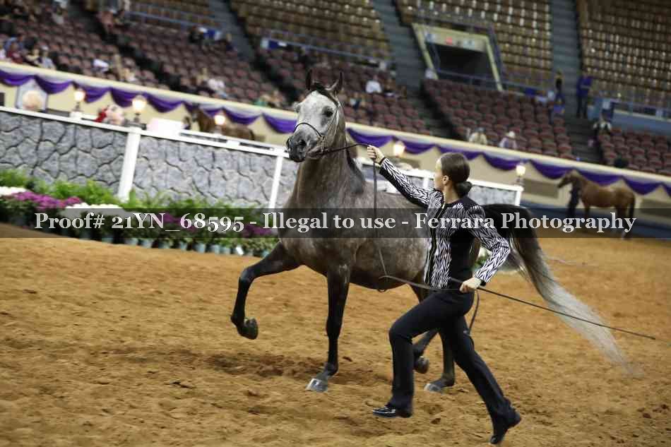 Proof 21YN_68595