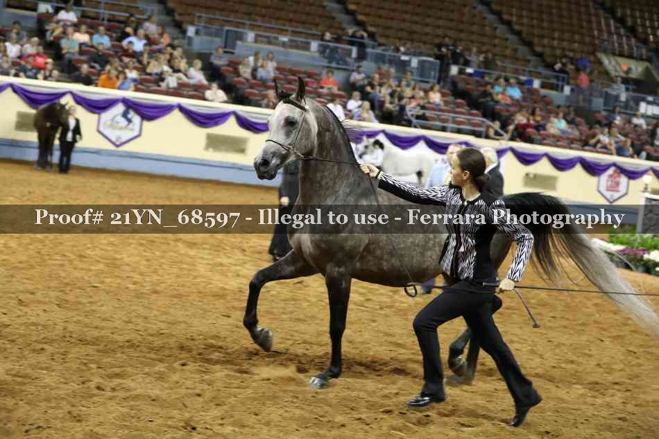 Proof 21YN_68597