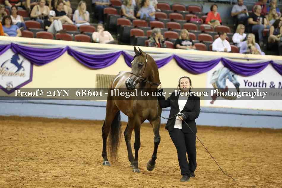 Proof 21YN_68601