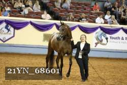 21YN_68601 proof