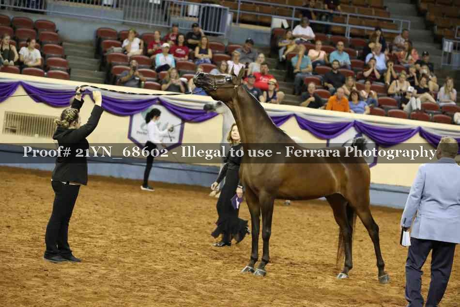 Proof 21YN_68602