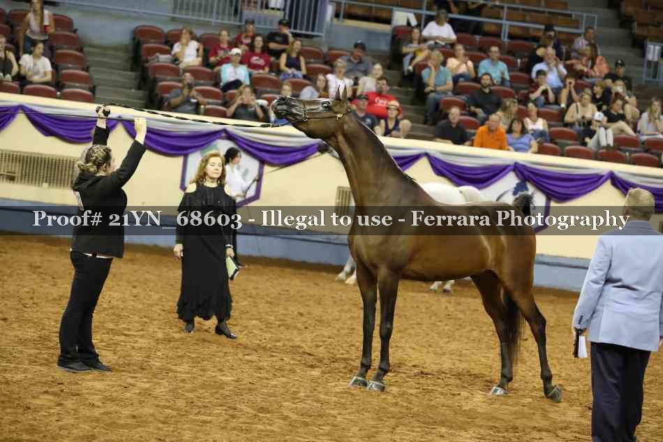 Proof 21YN_68603