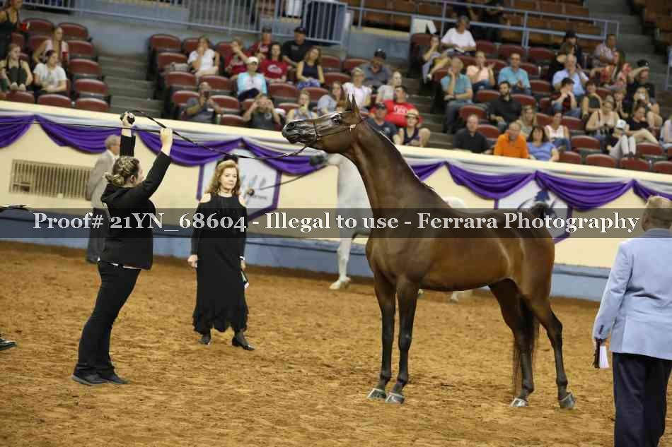 Proof 21YN_68604