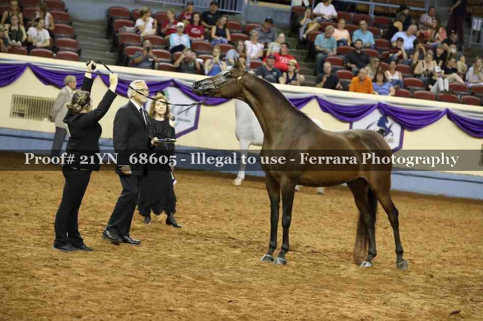 Proof 21YN_68605