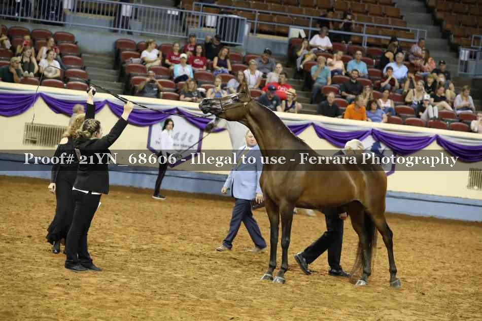 Proof 21YN_68606