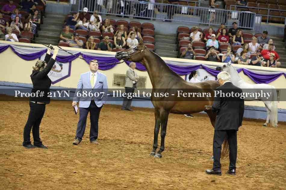Proof 21YN_68607