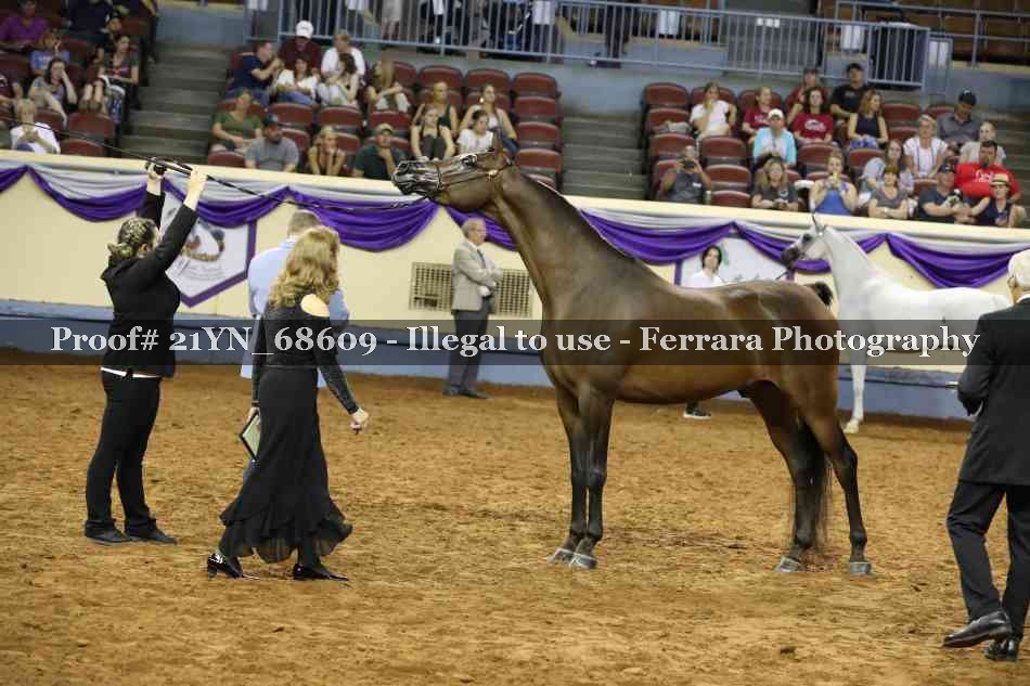 Proof 21YN_68609