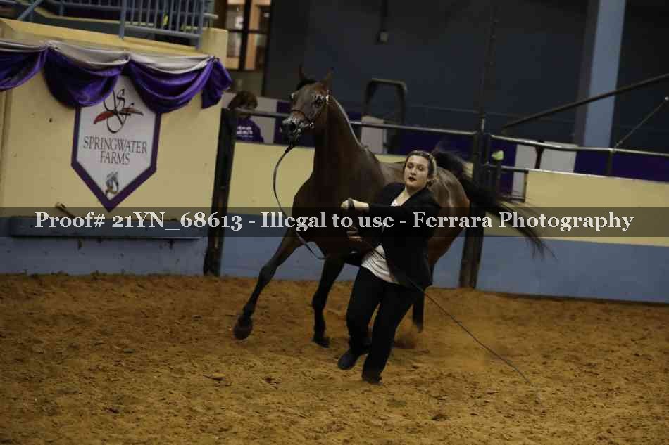 Proof 21YN_68613