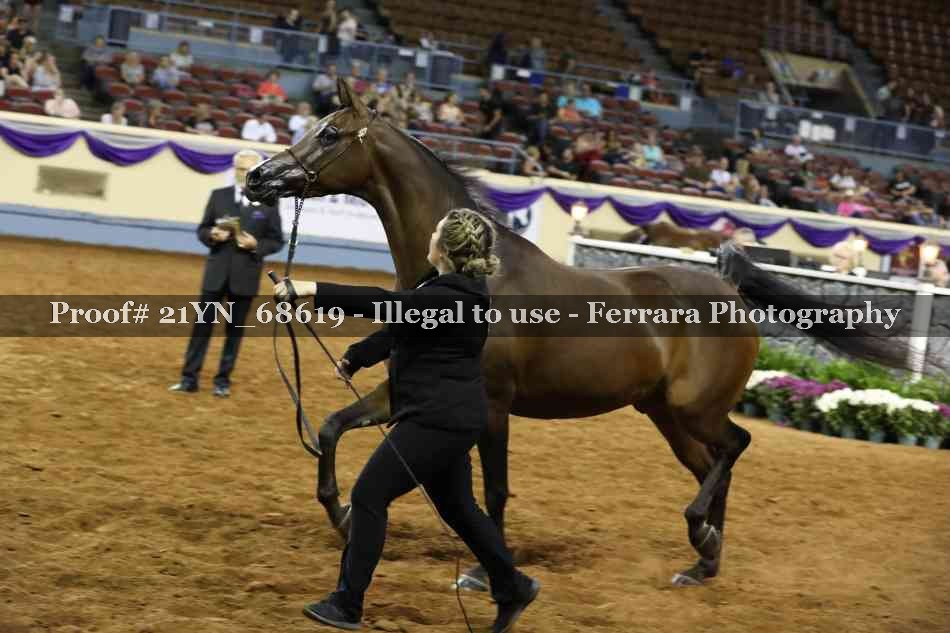 Proof 21YN_68619